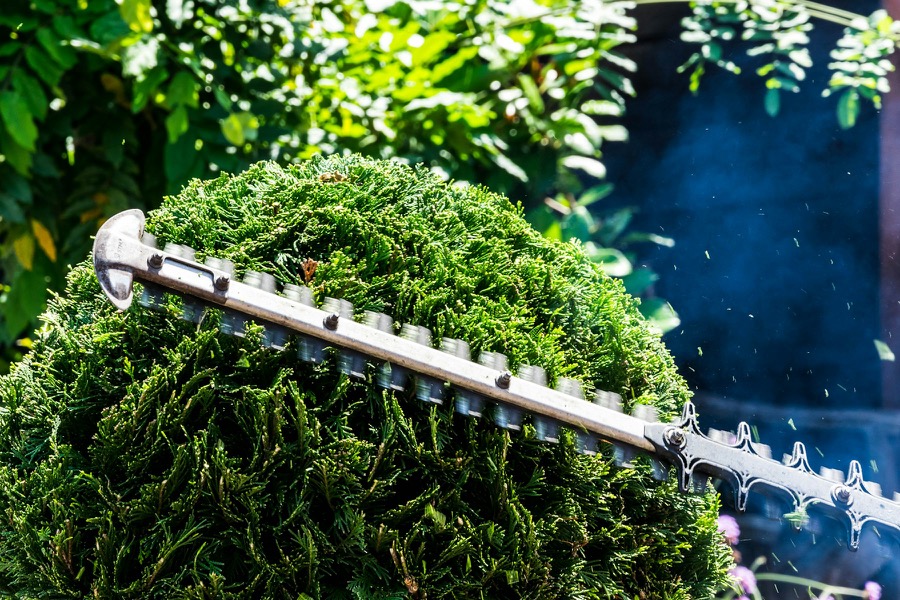 A person using a hedge trimmer